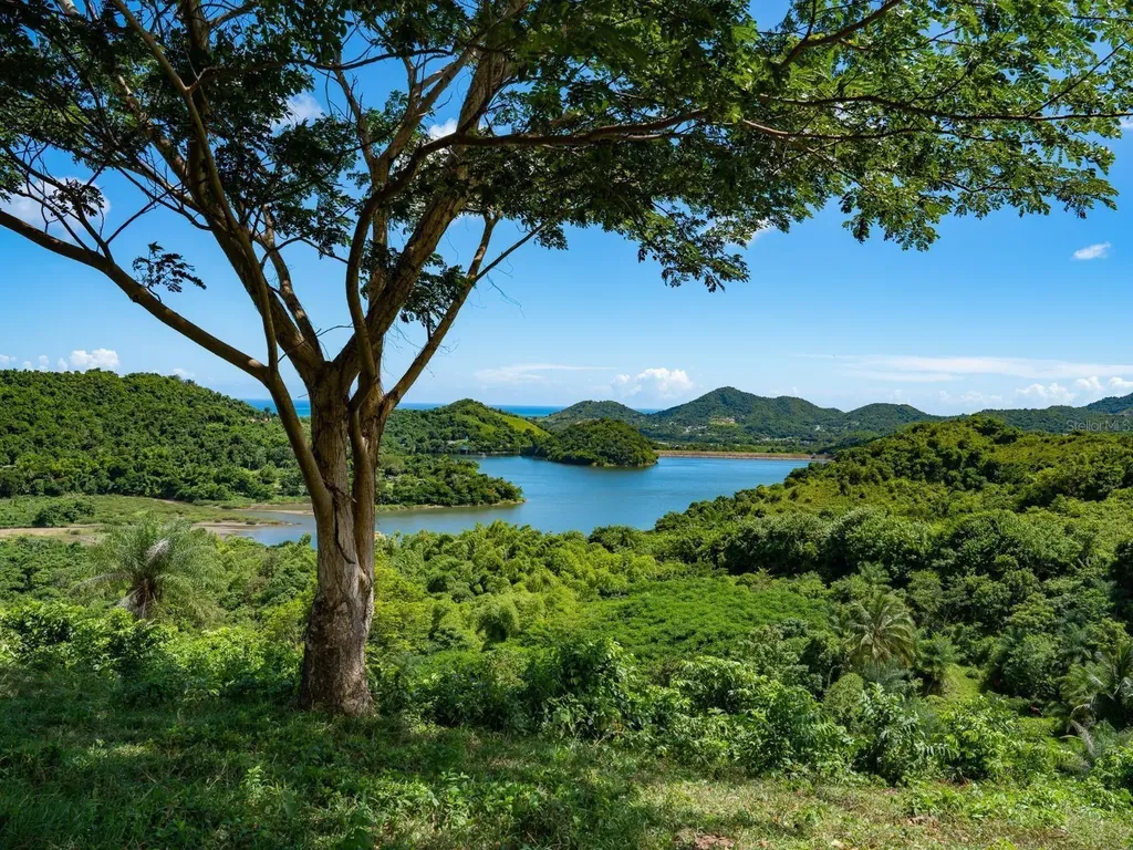 7759 Ramal Patillas PR 00723
