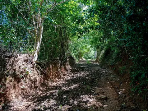 7759 Ramal Patillas PR 00723