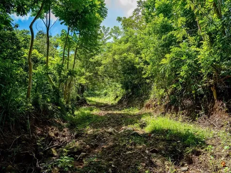 7759 Ramal Patillas PR 00723