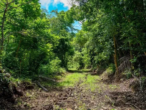 7759 Ramal Patillas PR 00723
