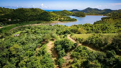 7759 Ramal Patillas PR 00723