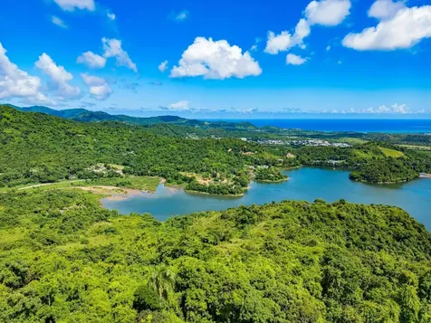 7759 Ramal Patillas PR 00723