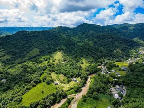 7759 Ramal Patillas PR 00723