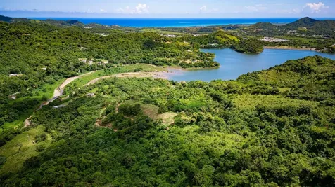 7759 Ramal Patillas PR 00723