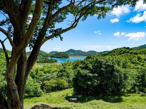 7759 Ramal Patillas PR 00723
