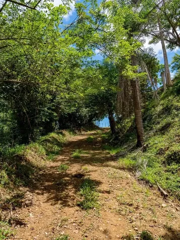 7759 Ramal Patillas PR 00723