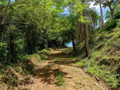 7759 Ramal Patillas PR 00723