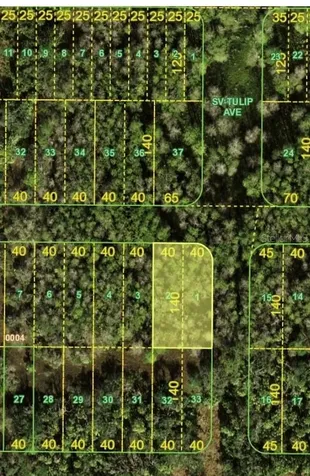 Bermont Road & 31 Punta Gorda FL 33982