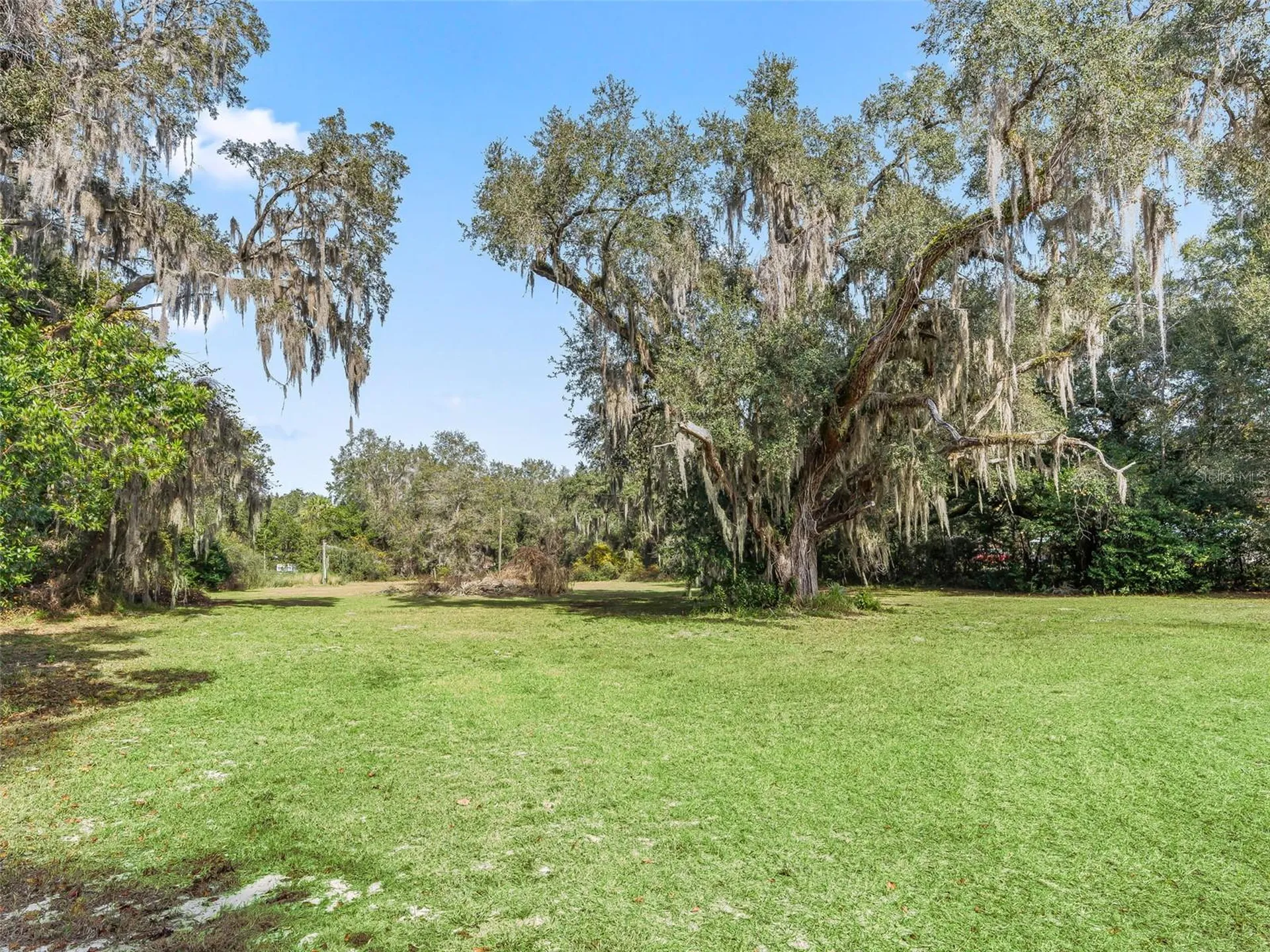 10487 SE Highway 42 Summerfield FL 34491