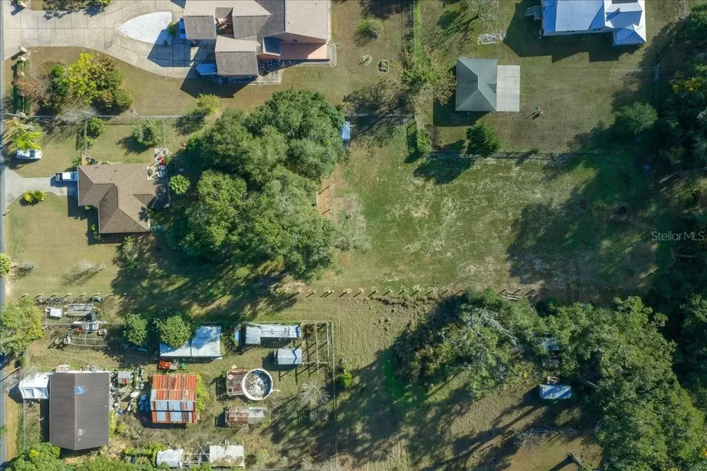 2026 NE 97th Street Road Anthony FL 32617