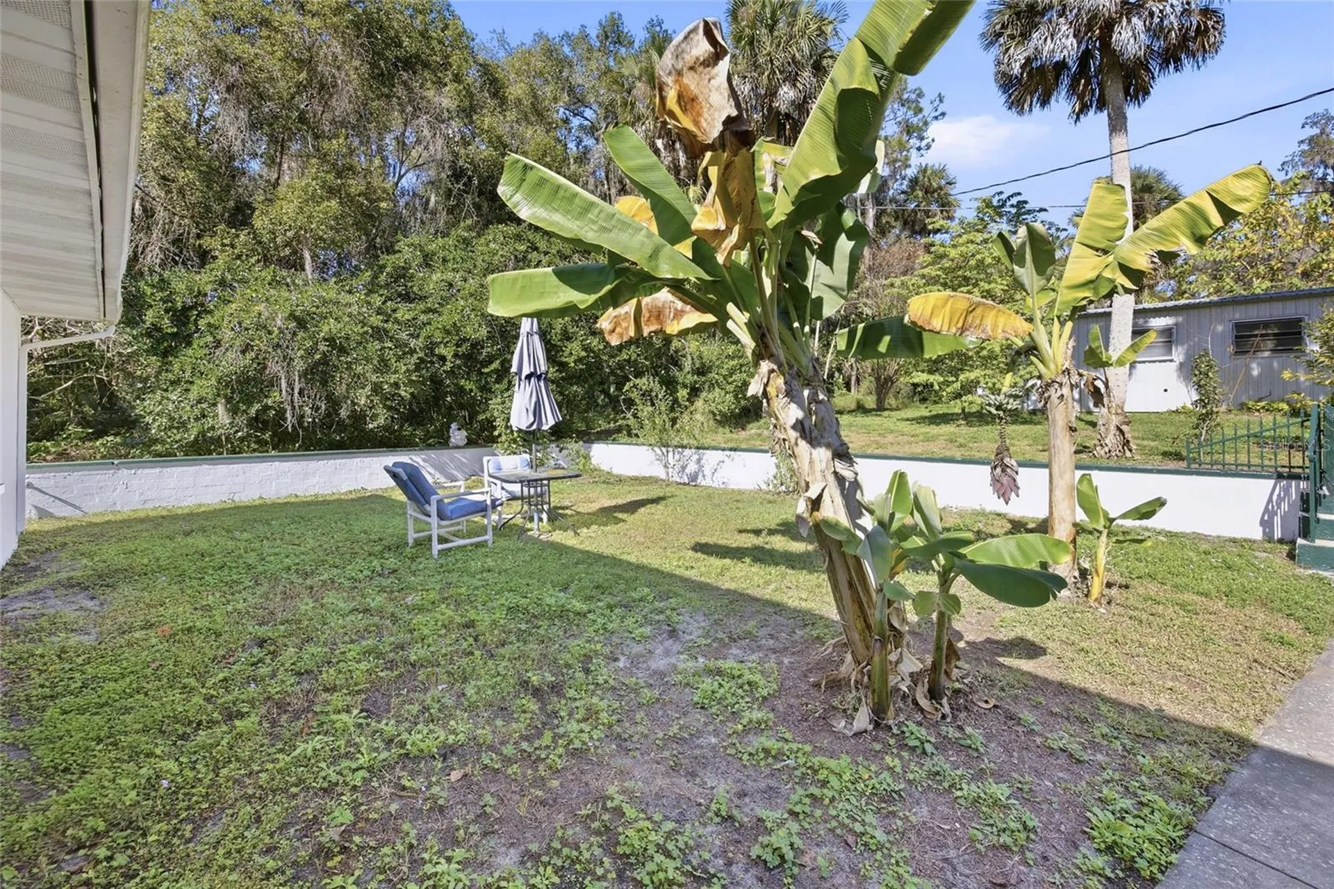 280 Palm Court Umatilla FL 32784