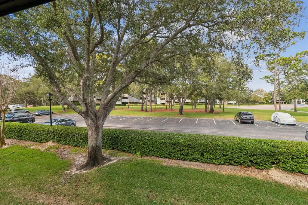 36750 Us Highway 19 N Palm Harbor FL 34684