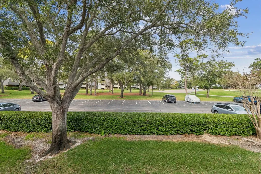 36750 Us Highway 19 N Palm Harbor FL 34684