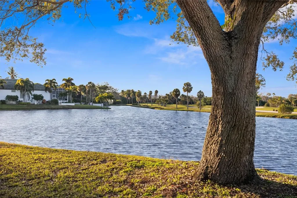 5950 Pelican Bay Plaza S Gulfport FL 33707