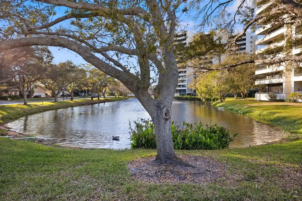 5950 Pelican Bay Plaza S Gulfport FL 33707