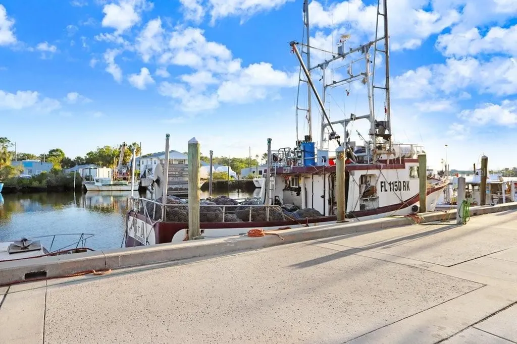 1161 Marina Drive Tarpon Springs FL 34689