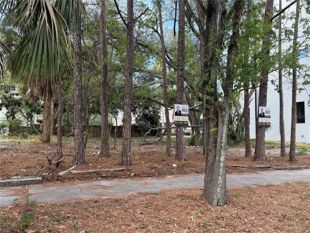 2318 W North B Street Tampa FL 33609