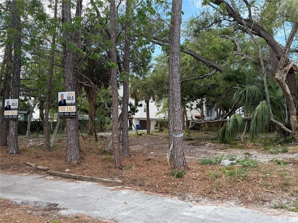 2318 W North B Street Tampa FL 33609