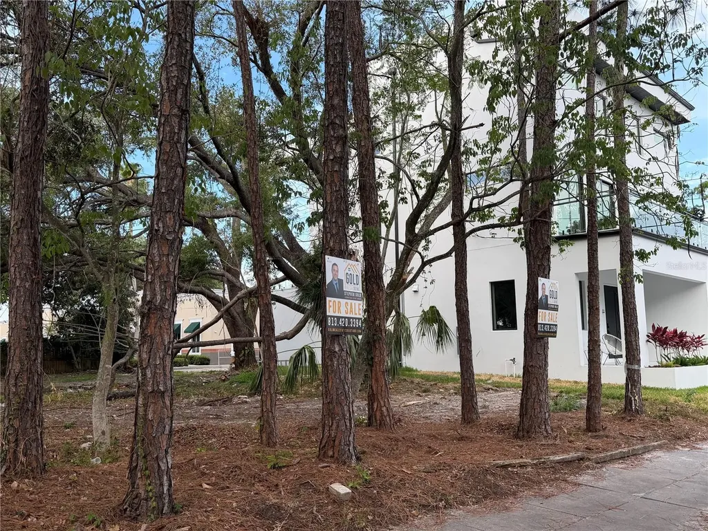 2318 W North B Street Tampa FL 33609