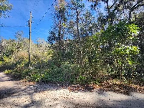 Tbd NE 164th Place Citra FL 32113