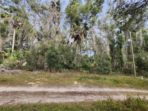 Tbd NE 164th Place Citra FL 32113