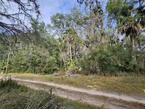 Tbd NE 164th Place Citra FL 32113