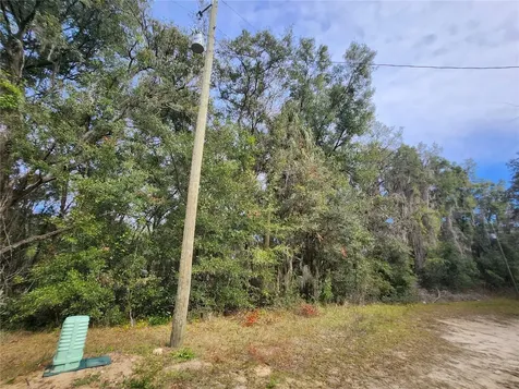 Tbd NE 164th Place Citra FL 32113