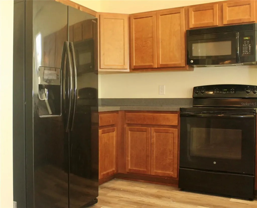 1352 Coriander Drive Kissimmee FL 34759
