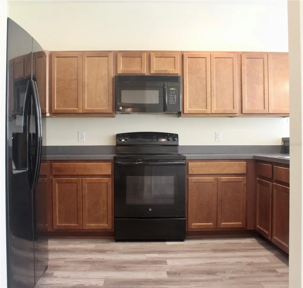 1352 Coriander Drive Kissimmee FL 34759