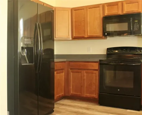 1352 Coriander Drive Kissimmee FL 34759
