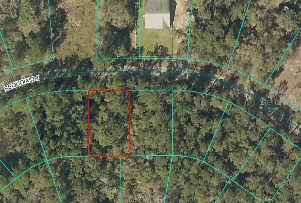 Sequoia Drive Ocklawaha FL 32179
