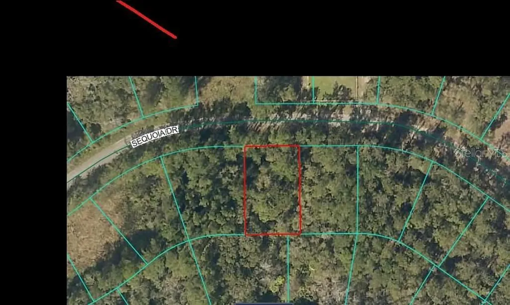 Sequoia Drive Ocklawaha FL 32179