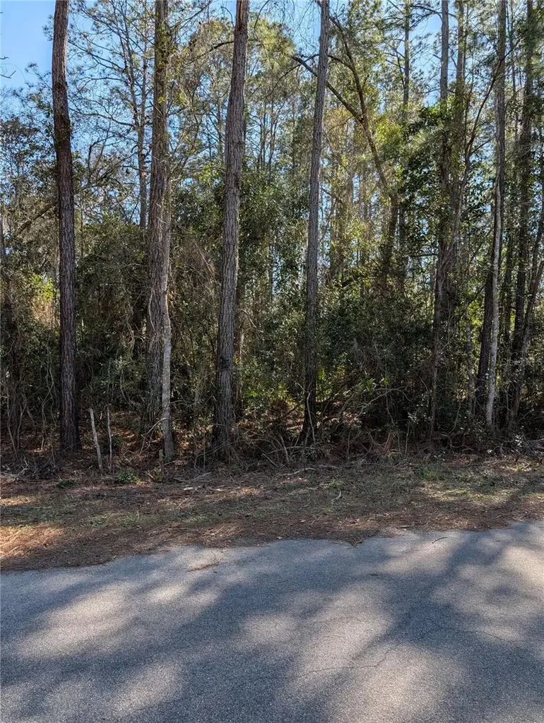 Sequoia Drive Ocklawaha FL 32179