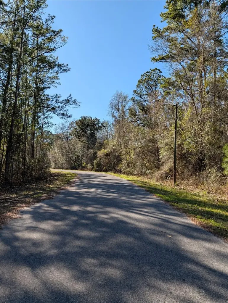 Sequoia Drive Ocklawaha FL 32179