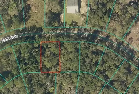 Sequoia Drive Ocklawaha FL 32179