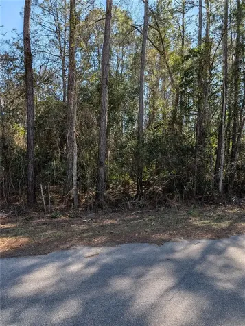 Sequoia Drive Ocklawaha FL 32179