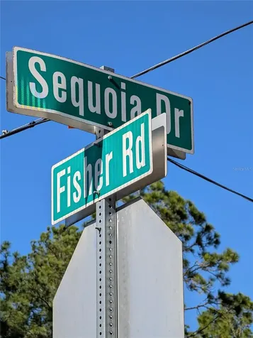 Sequoia Drive Ocklawaha FL 32179
