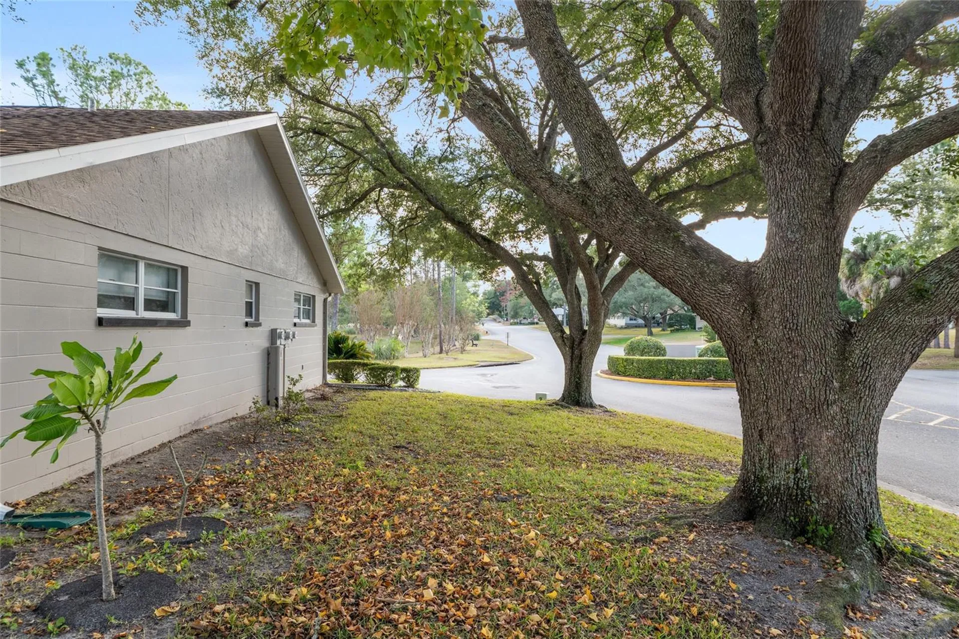 8891 SW 96th Lane Ocala FL 34481