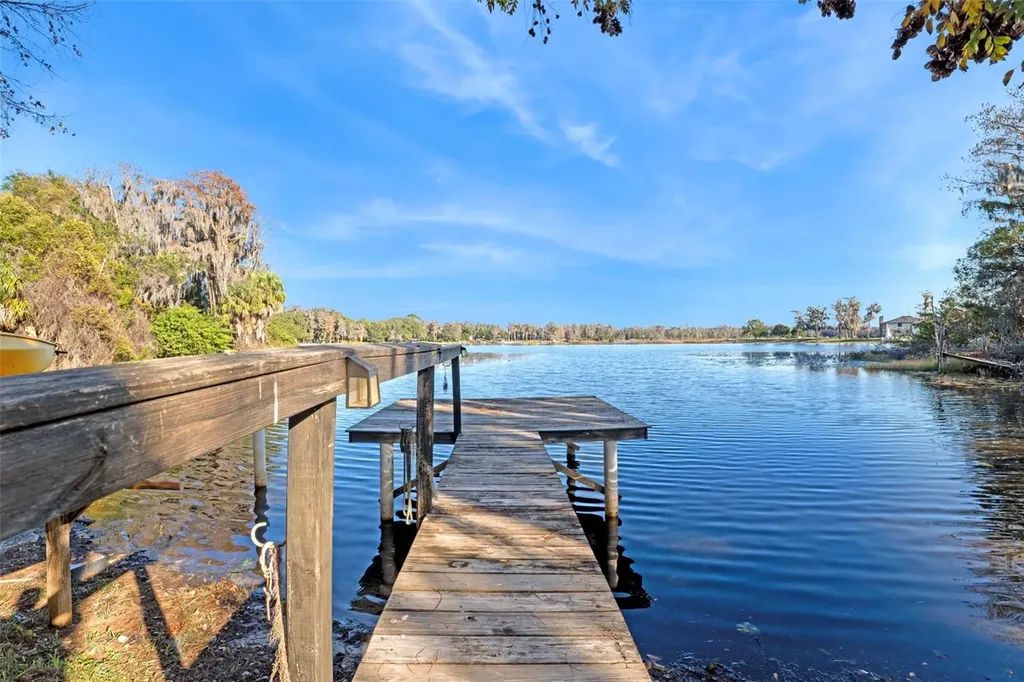 9825 Lake Georgia Drive Orlando FL 32817