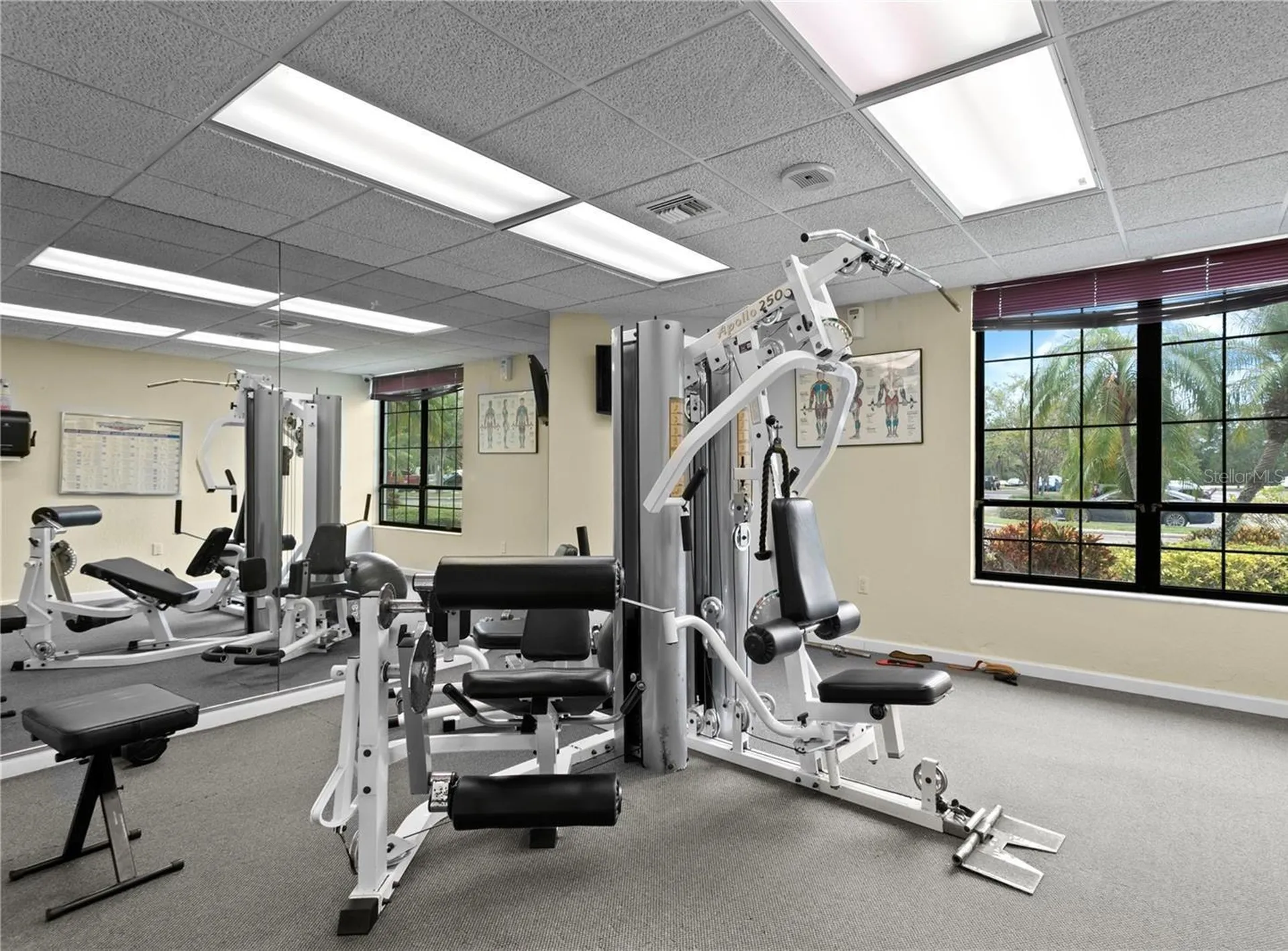 14810 Rue De Bayonne Clearwater FL 33762