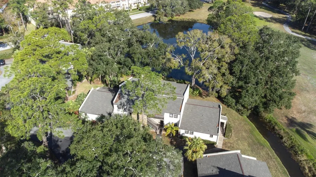 1000 Tarpon Woods Boulevard Palm Harbor FL 34685