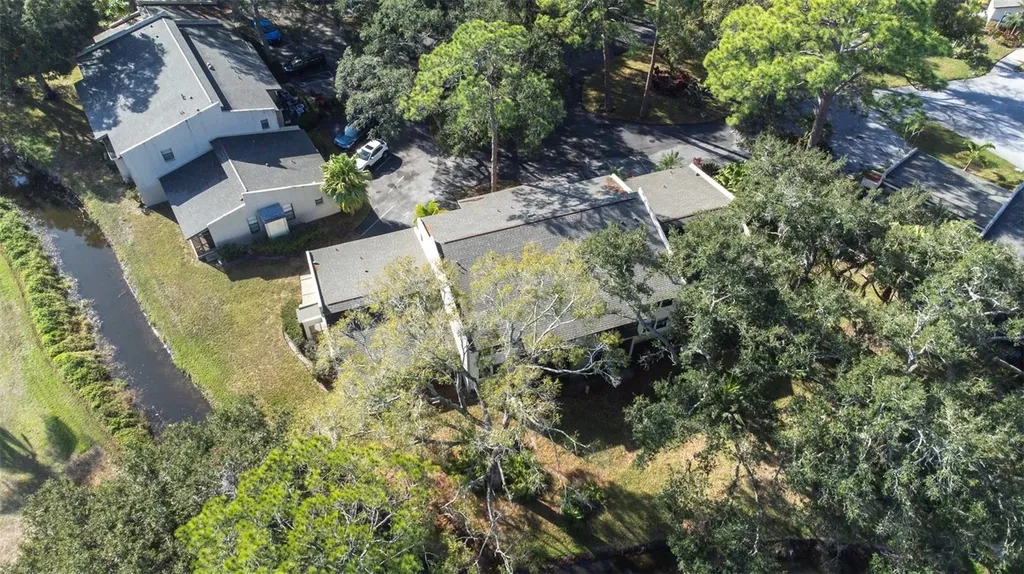 1000 Tarpon Woods Boulevard Palm Harbor FL 34685