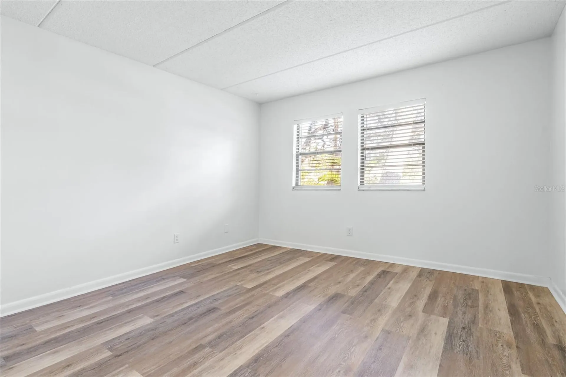 1000 Tarpon Woods Boulevard Palm Harbor FL 34685