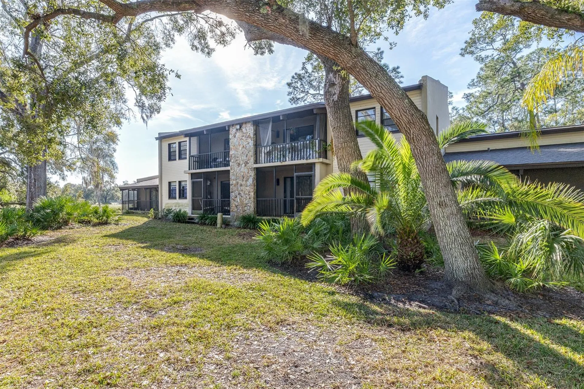 1000 Tarpon Woods Boulevard Palm Harbor FL 34685