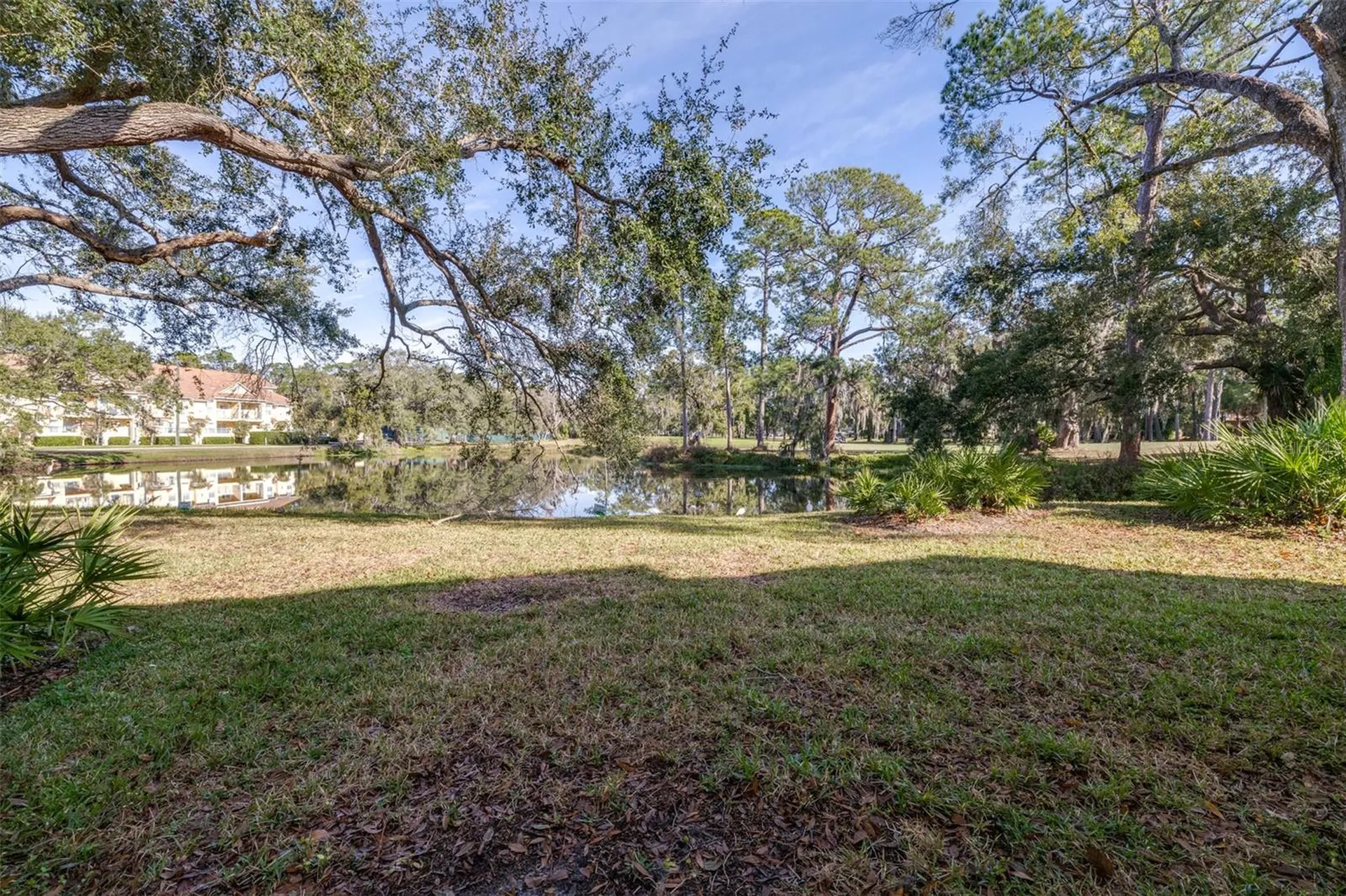 1000 Tarpon Woods Boulevard Palm Harbor FL 34685