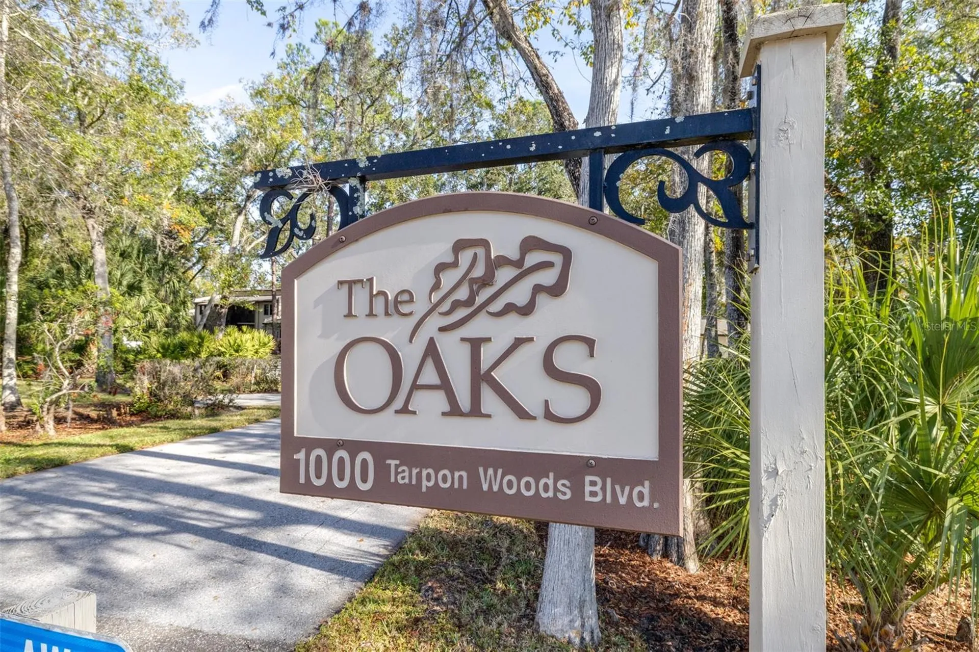 1000 Tarpon Woods Boulevard Palm Harbor FL 34685