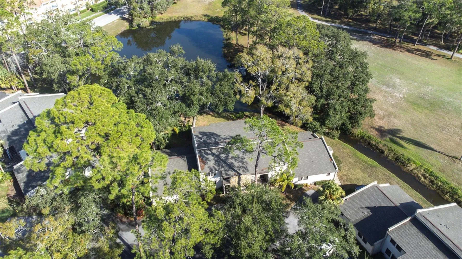 1000 Tarpon Woods Boulevard Palm Harbor FL 34685