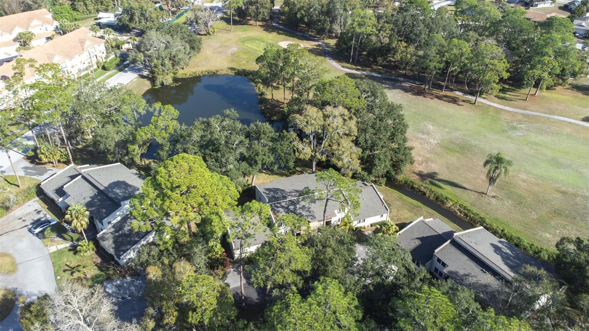 1000 Tarpon Woods Boulevard Palm Harbor FL 34685