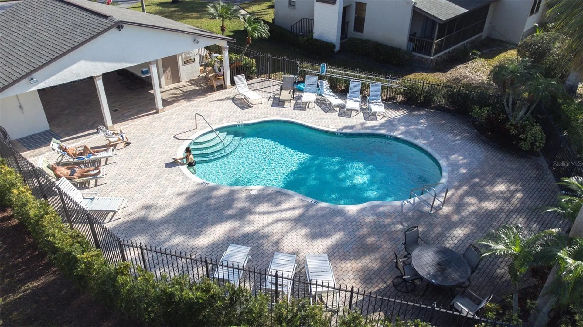 1000 Tarpon Woods Boulevard Palm Harbor FL 34685