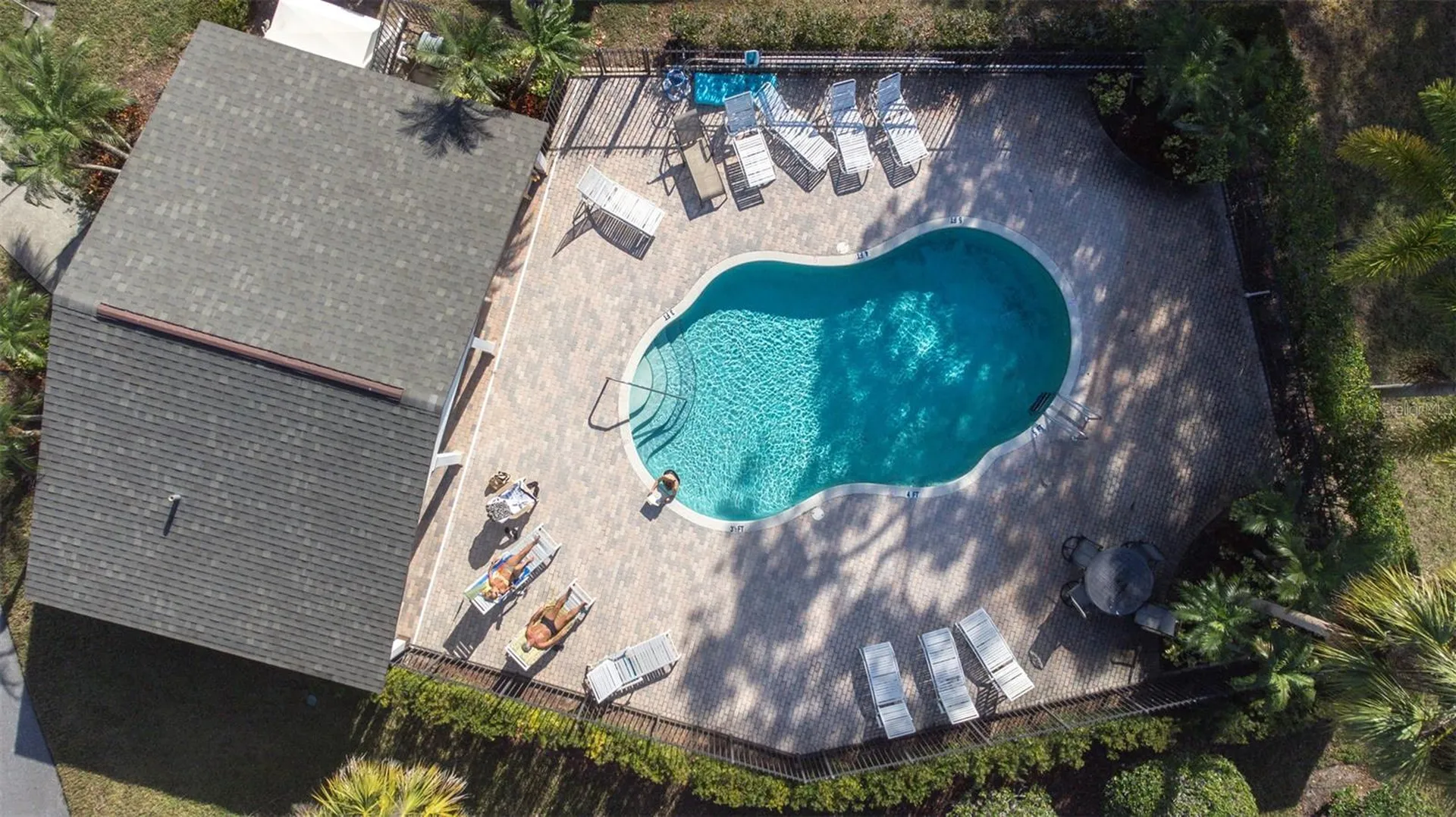 1000 Tarpon Woods Boulevard Palm Harbor FL 34685